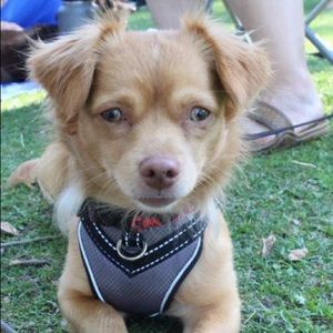 Meet your Posher, Jeremy